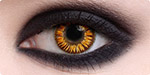 gold-vampire Gold Vampire Twilight contact lenses