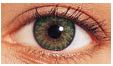 freshlookcoloblends-green freshlook colorblends green contacts