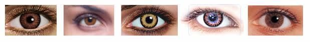Popular brown contacts brown contacts