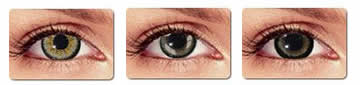 Gray circle lenses gray circle lenses