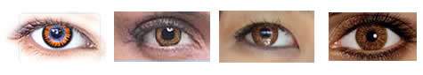 Honey contacts for dark eyes honey contacts for dark eyes